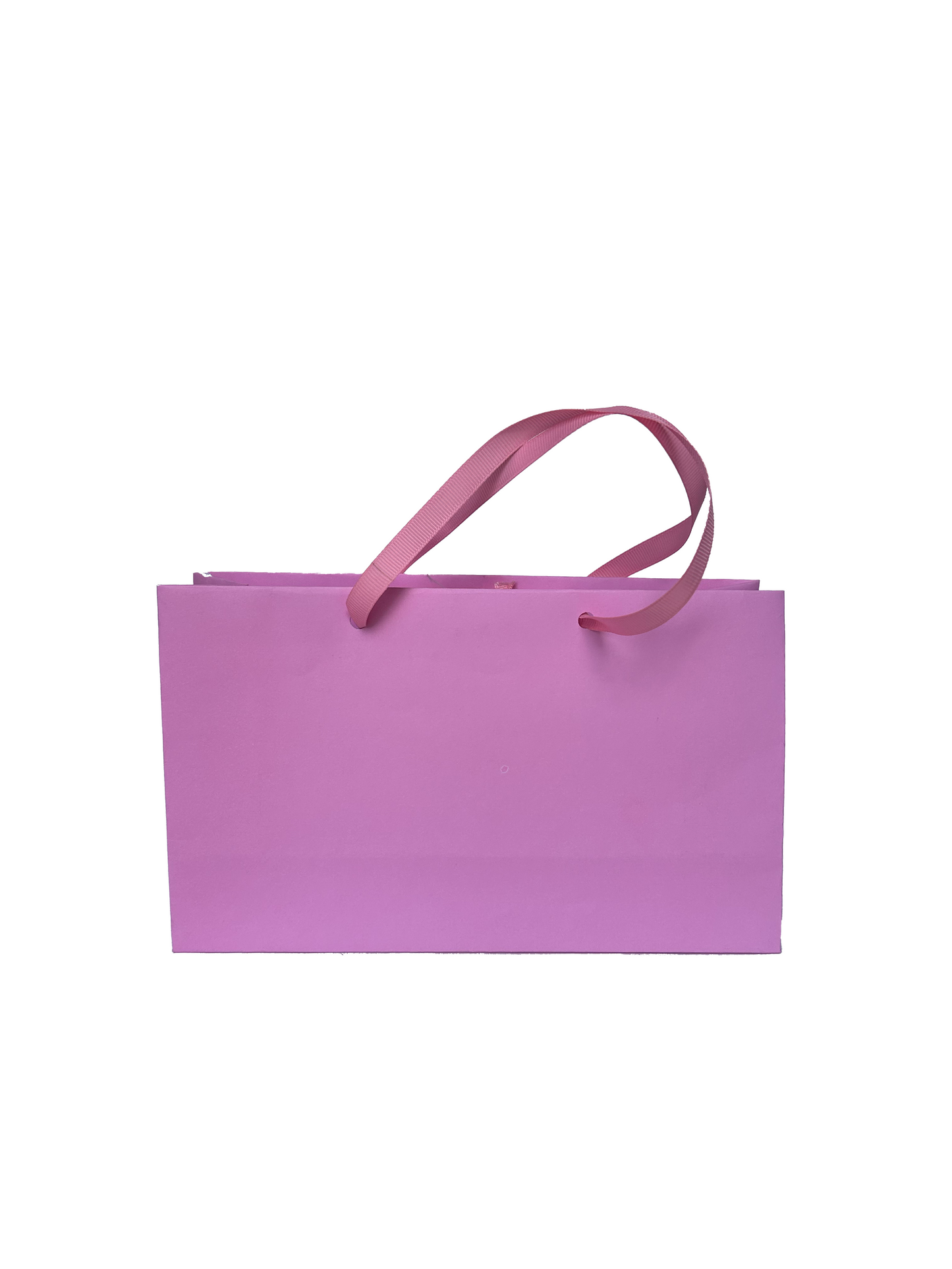 Bolsa Lisa Chica Horizontal