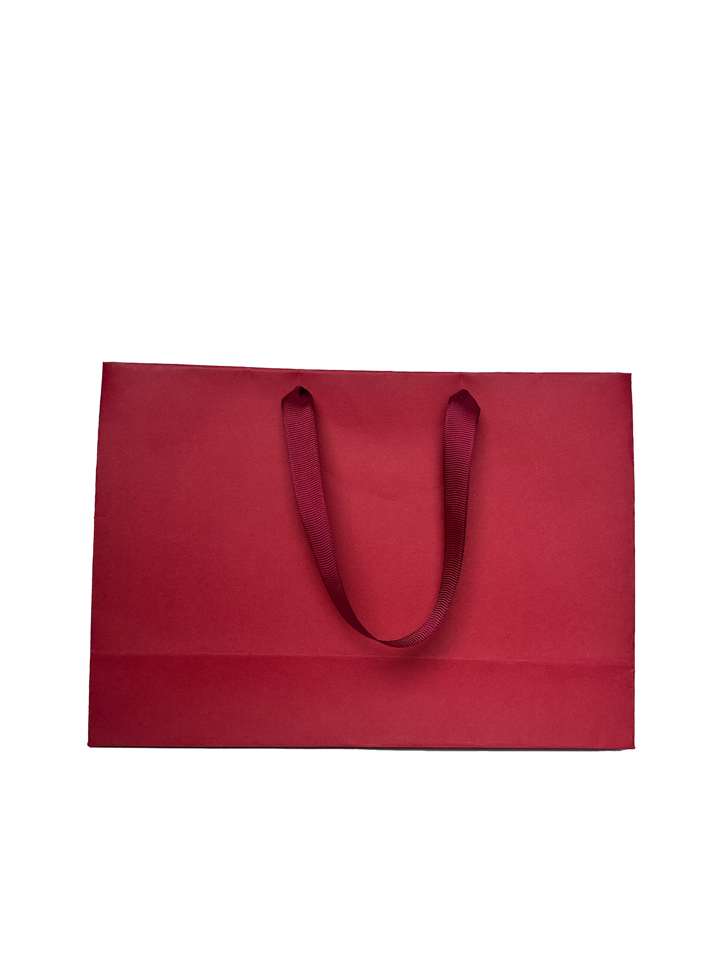 Bolsa Shiny Mediana Horizontal
